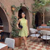 HAWORTH DRESS